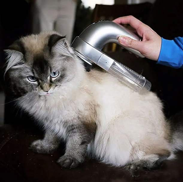 Pet Hair Vacuum Massager in use